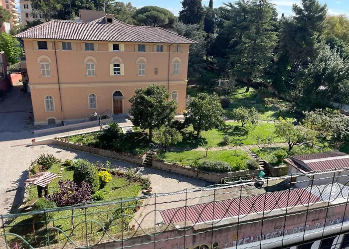 Edo's Rhome Roma